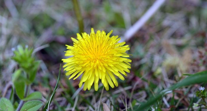 һ��������С�ƻ�