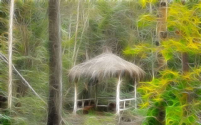 ���Ի������ֲ�ͤ��