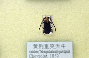 �ƾ���ͻ��ţ