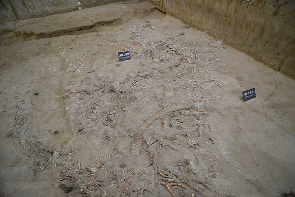 ��ɳ��ַ��������к��ż�