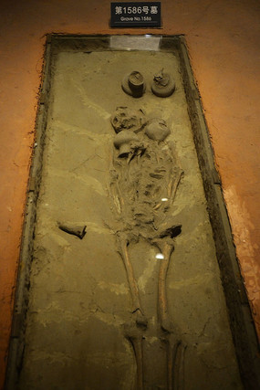 ��ɳ��ַ�ڵĹ����ź�