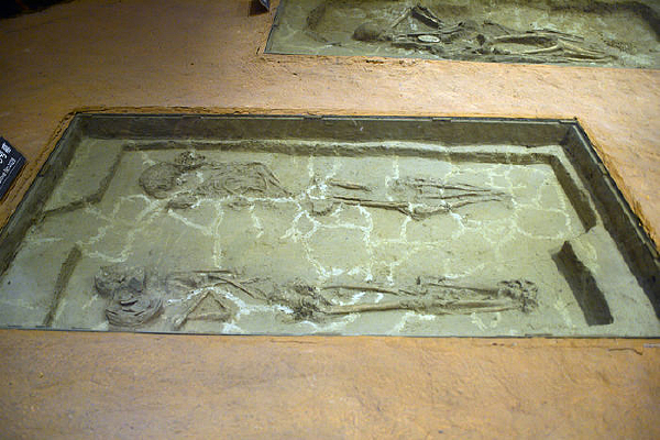 ��ɳ��ַ˫��Ĺ���ź�