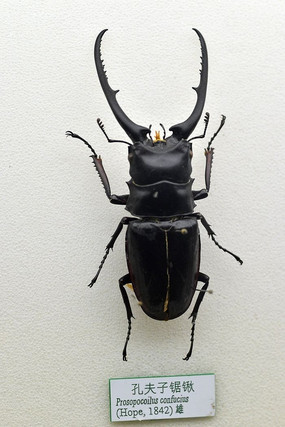 �׷��Ӿ���