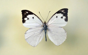 ������۵�