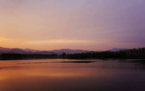 ʪ����������