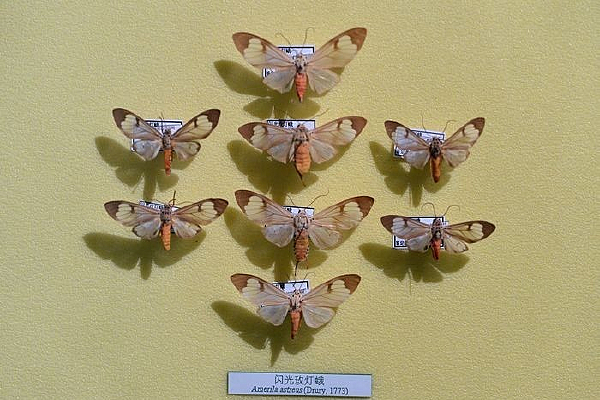 ����õ�ƶ�