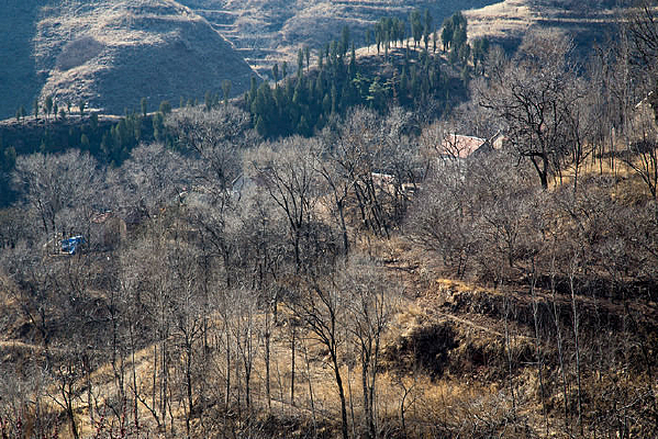 ������Сɽ