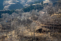 ������Сɽ