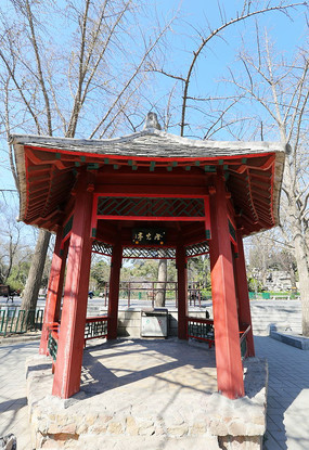 ��Ȼͤ��԰�ι�ͤ