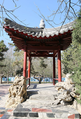 ��Ȼͤ��԰��ľ�ͤ