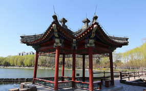 ��Ȼͤ��԰��˫��ͤ