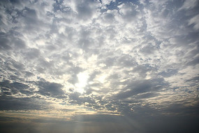 ��վۻ�����