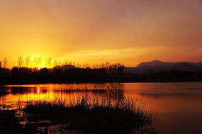 Ϧ������