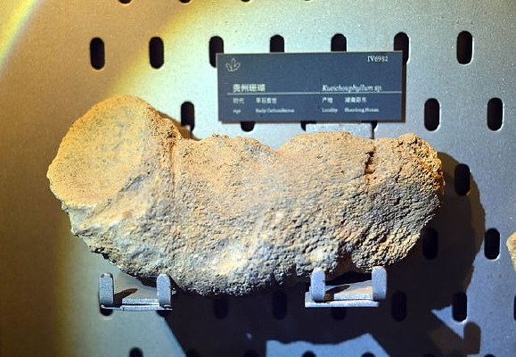 ��ʯ̿������ɺ��