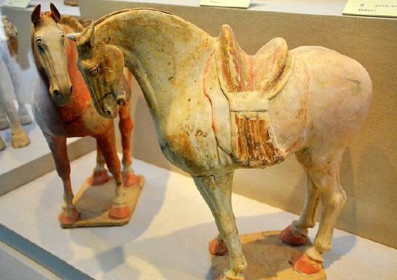 �ʻ���մ���