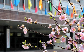 ��ů����