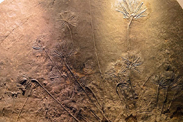 ����ٺϻ�ʯ