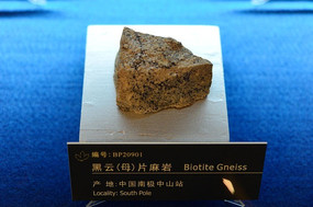 ���ƣ�ĸ��Ƭ����