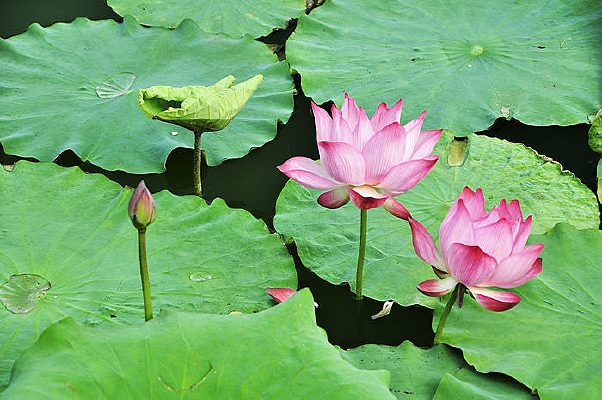 ����Ʈ��