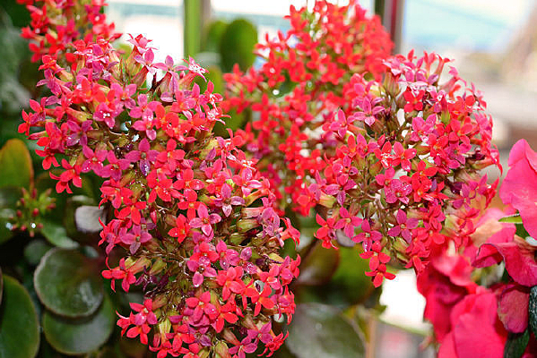 �컨һ�ؽ�������