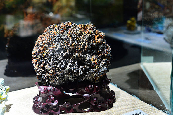 �����Ͱ���˹��չ��