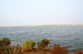 ����ʪ��