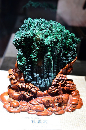 ������ȸʯչ��