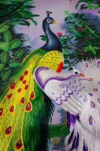 ��ȸ����