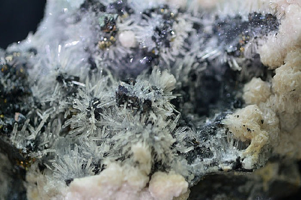 ��ʯ��״ϸ��