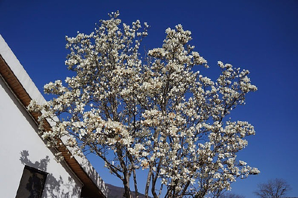 �����µ�������