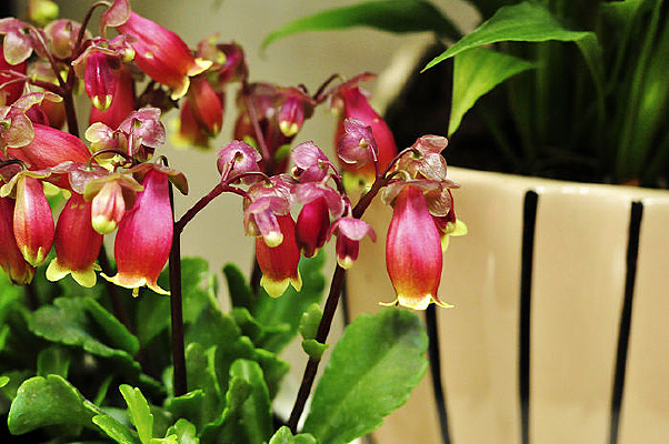 ��������д