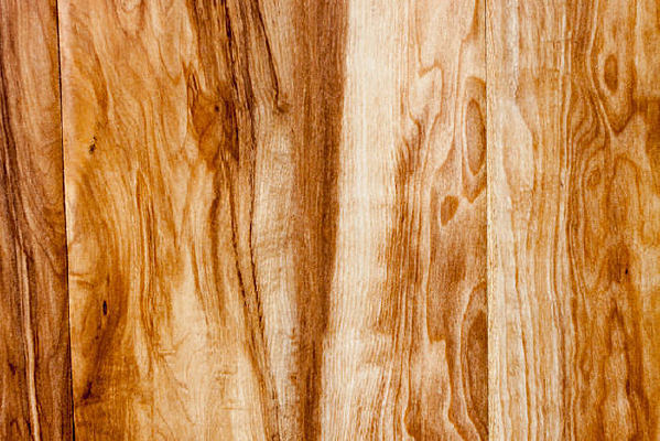 ľ����������ͼƬ