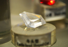 ţͷ������