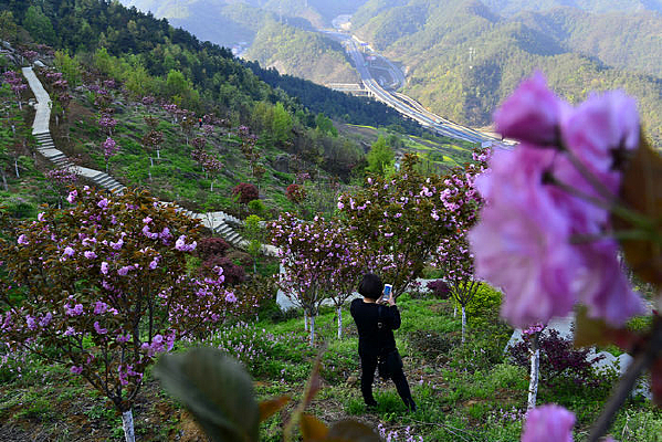 ��ӣ����Ů��