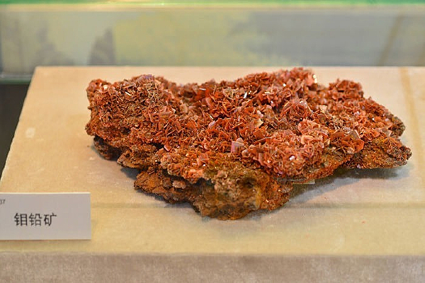 ��Ǧ��չ��