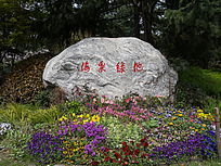 鷨