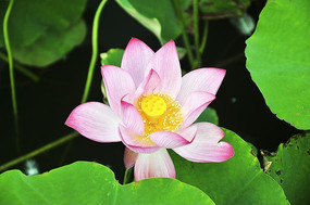 ʢ���Ľ�����