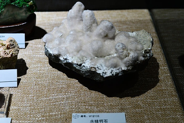 ˮ���ʯչ��