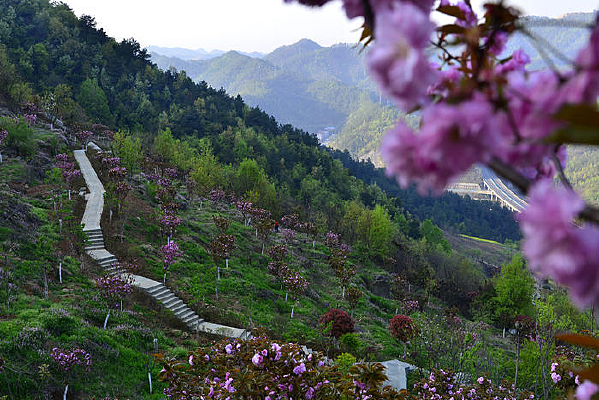 �ķ�ɽֲ��԰ɽ��