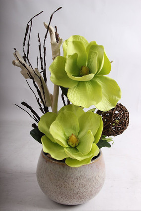 �մɲ廭�ڼ�ͼƬ