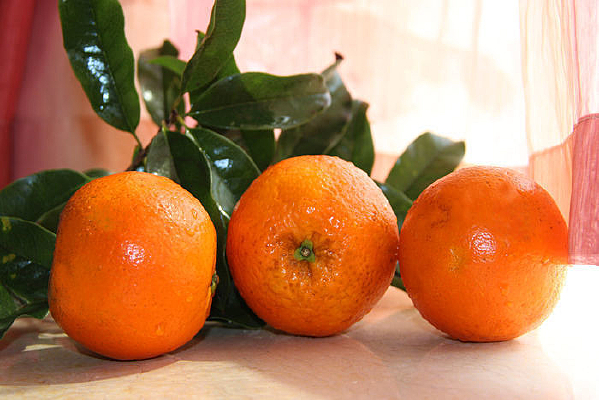 ����΢��