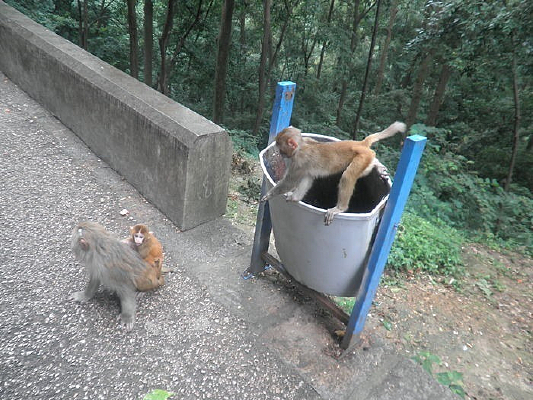 С⨺�����