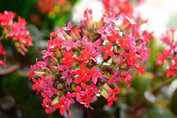 һ�غ컨��������