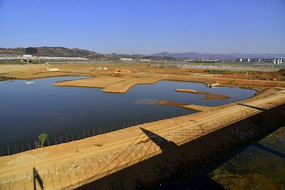 ������������Զ��