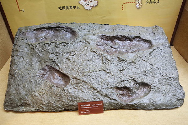 ������Գ�˽�ӡ