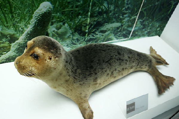 �ߺ����걾