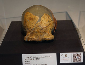 �����˵�v��ͷ�ǹ�