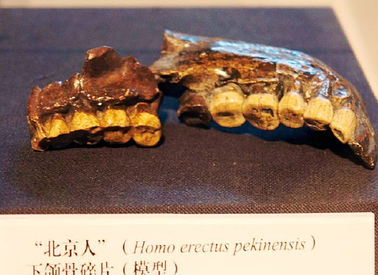 �������ˡ�������Ƭ