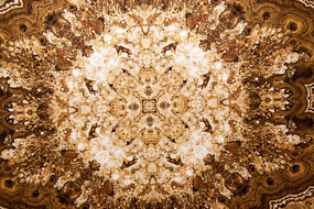 �¹Ÿߵ���ש����