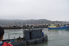 ���굺������Ӱ